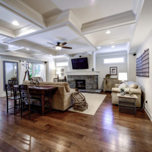 Peachtree Park - Downstairs Living Room